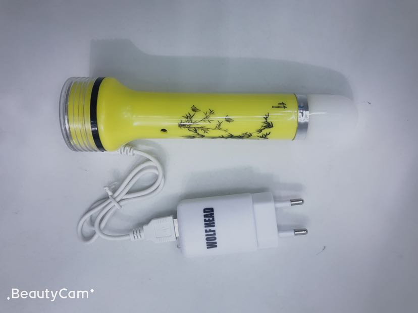 8892 wolf head Led Rechargeable Flashlight details Picture