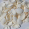 天然贝壳海螺 白色贝壳 白椰贝 鱼缸水族装饰 毛贝贴墙DIY500克产品图