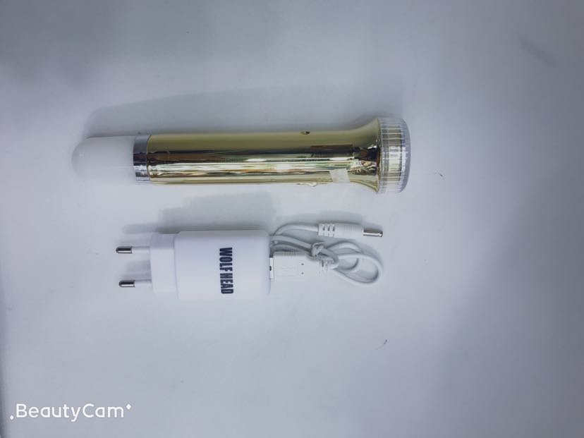8895 Gold-plated wolf head Led Rechargeable flashlight details Picture