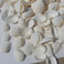 天然贝壳海螺 白色贝壳 白椰贝 鱼缸水族装饰 毛贝贴墙DIY500克细节图