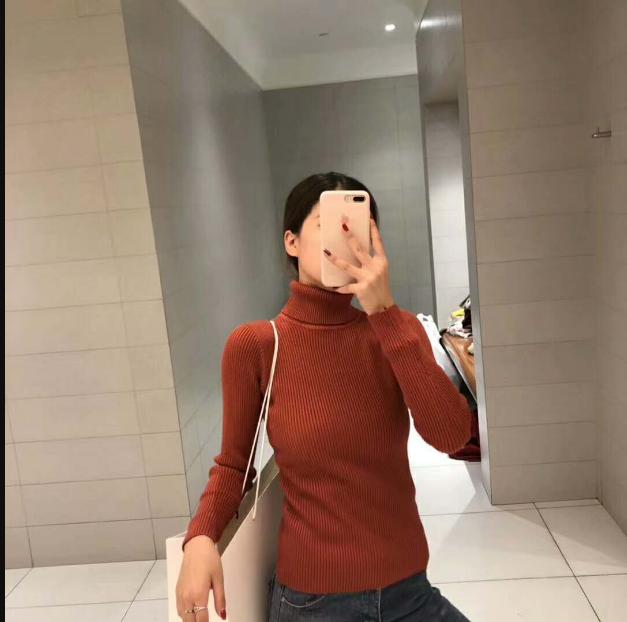 Multi-colored double-layer turtleneck with large stretch bottoms