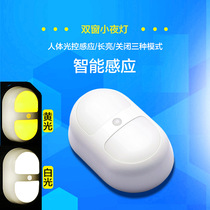 Light-controlled double induction LED small night light body induction light