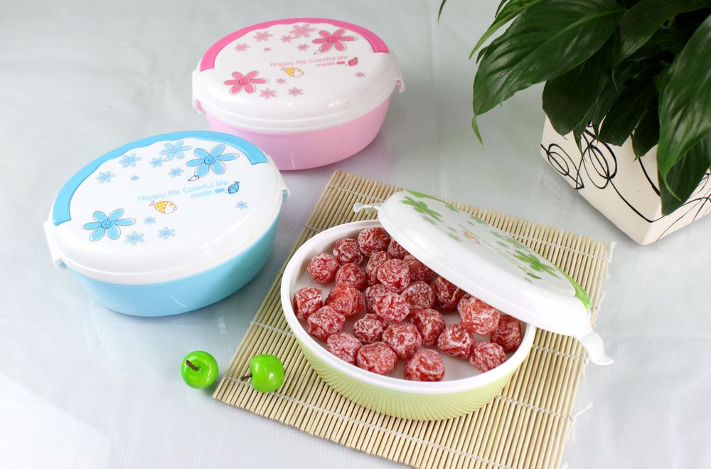 Oval portable lunch Box Student lunch box Plastic portable lunch box printed travel lunch box