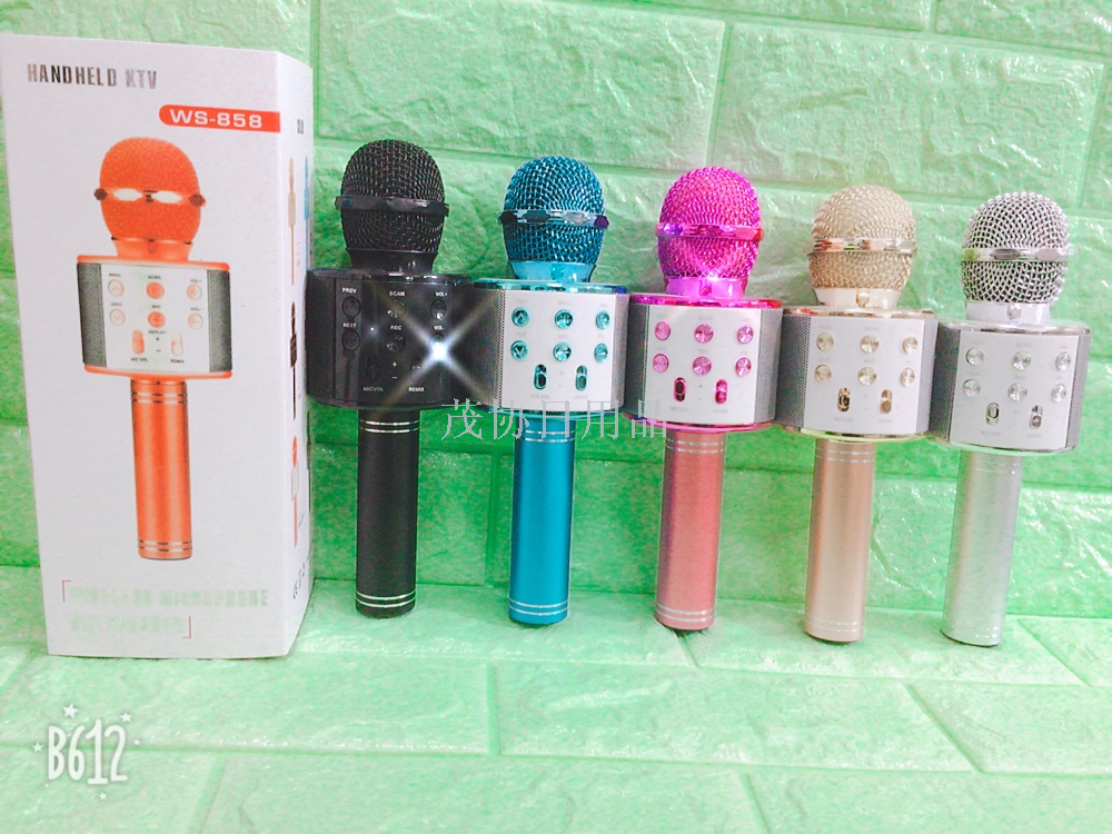 Mobile phone karaoke microphone