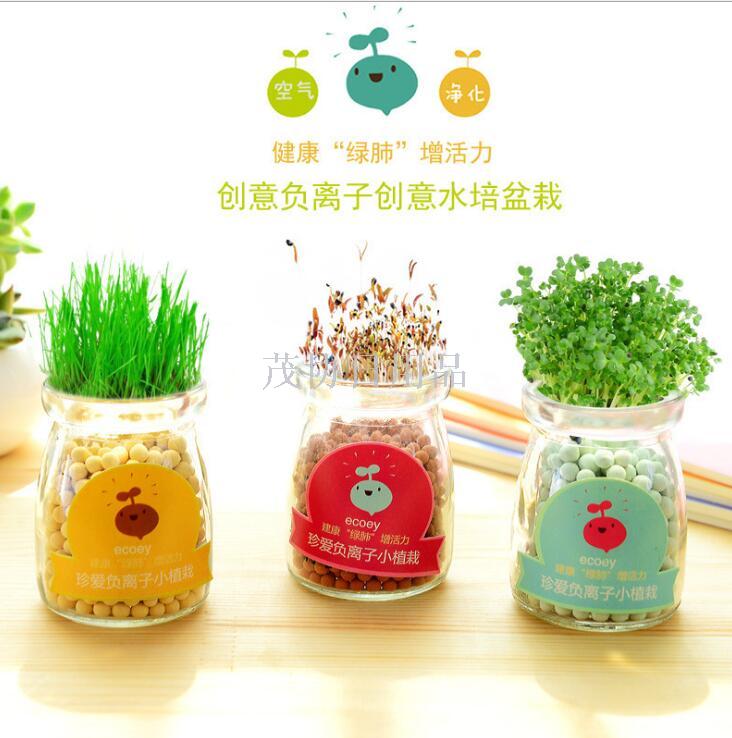 Creative plant anion hydroponic pot office desktop hydroponic ceramic carbon fan you small pot
