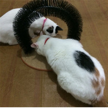 purrfect arch 猫刷毛刷 蹭毛器 猫抓痒猫玩具宠物用品 拱门