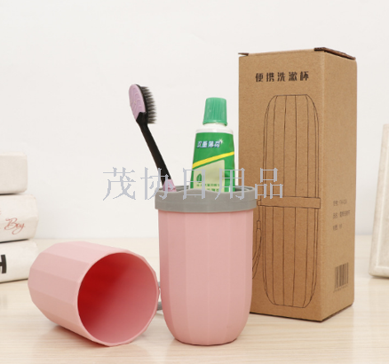 PP toothbrush case