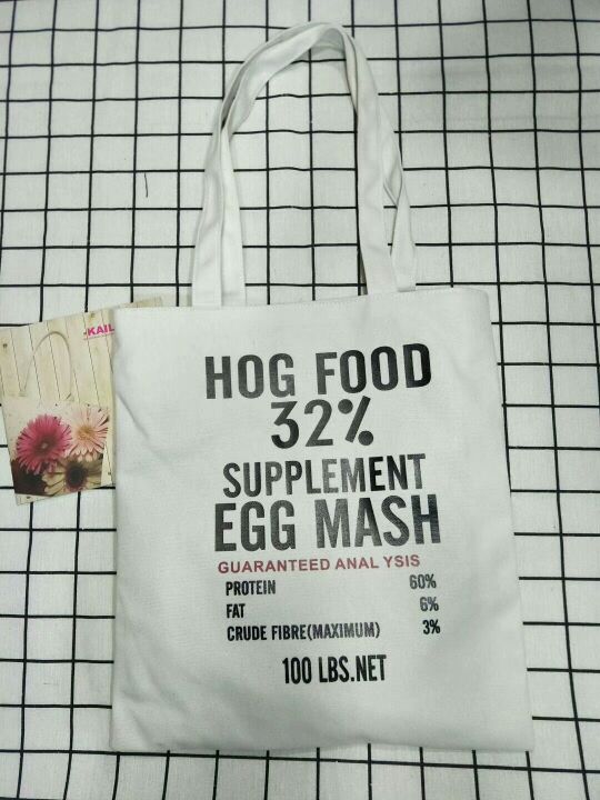 小号新款帆布包