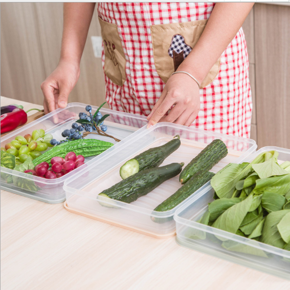 冰箱保鲜盒杂粮储物盒饺子盒 家用可叠加塑料食物水果收纳盒产品图