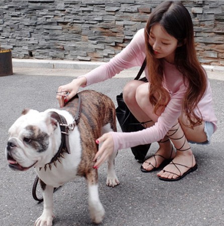 This 2019 Spring/Summer collection features a new long-sleeved T-shirt with a short front and long back, made of light and soft fabric. It is versatile and sexy for women Application Scenario