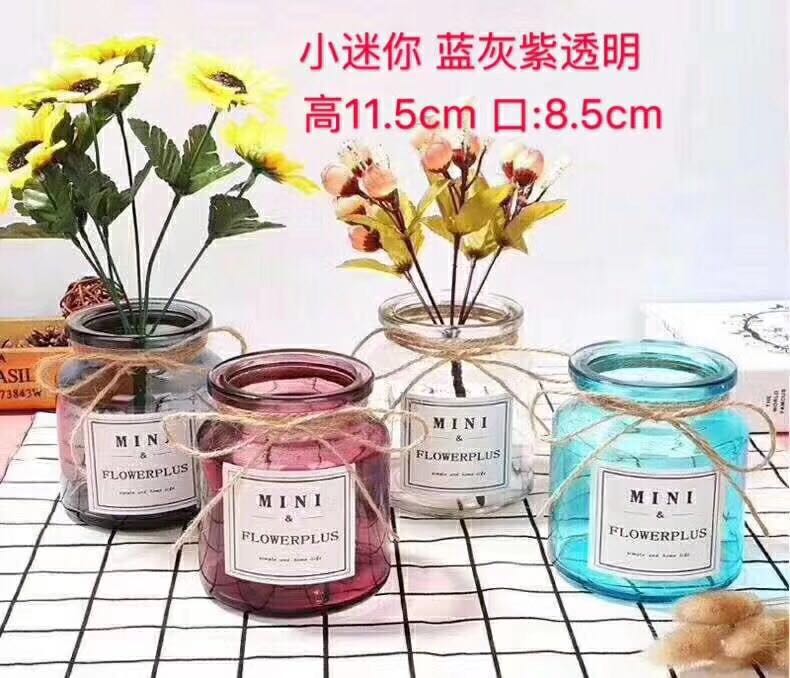 创意客厅插花玻璃透明摆件简约家居装饰品干花小花瓶摆设