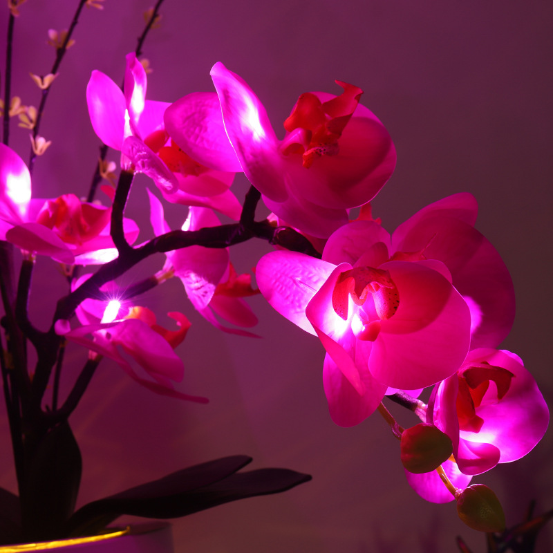ins爆款酒店客房高仿真花LED蝴蝶兰花瓶小夜灯