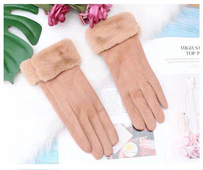 Manufacturers Direct Sales Of New Thickened Suede Velvet Mouth Arctic Velvet Lining Touch Screen Saver Warm Gloves For Women details Picture