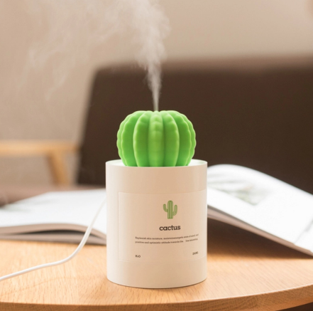 USB mini humidifier, car, office, desktop humidifier and water replenisher, small cactus humidifier Application Scenario