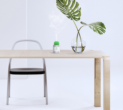 USB mini humidifier, car, office, desktop humidifier and water replenisher, small cactus humidifier details Picture
