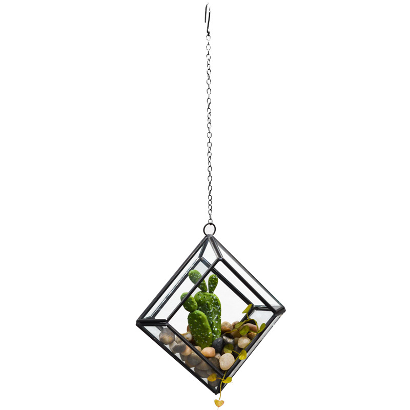 Black diamond-shaped square glass greenhouse with chain succulent floret glass