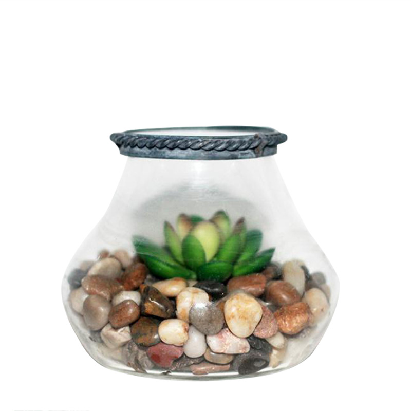Hydroponic plant glass capped container greenhouse microlandscape fleshy vase