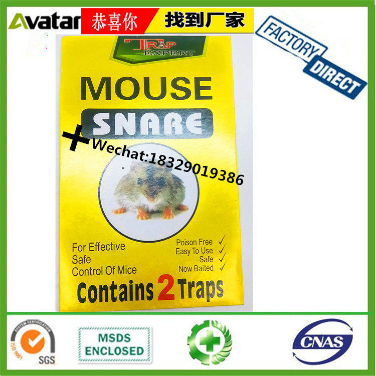 TRAP MOUSE SNAAE MOUSE BOARD Trap mouse snaae mouse board Trap mouse snaae mouse board