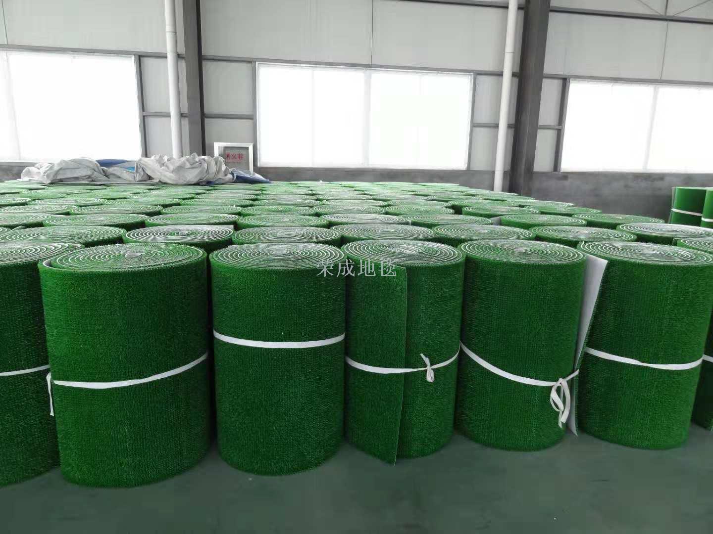 淘金草洗金草增金王