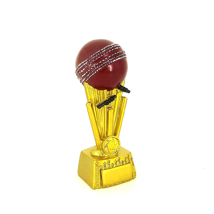 Factory direct sales of resin craft gifts and ornaments wholesale, new cricket match award trophies, event souvenirs Application Scenario