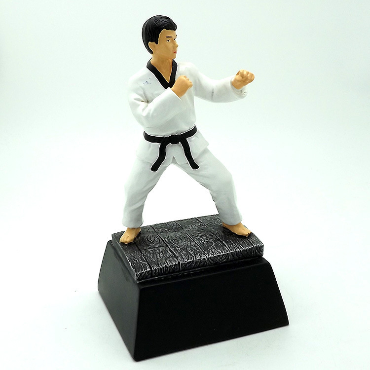 New resin craft gifts, sports award prizes, Taekwondo trophies, commemorative decorative items Application Scenario