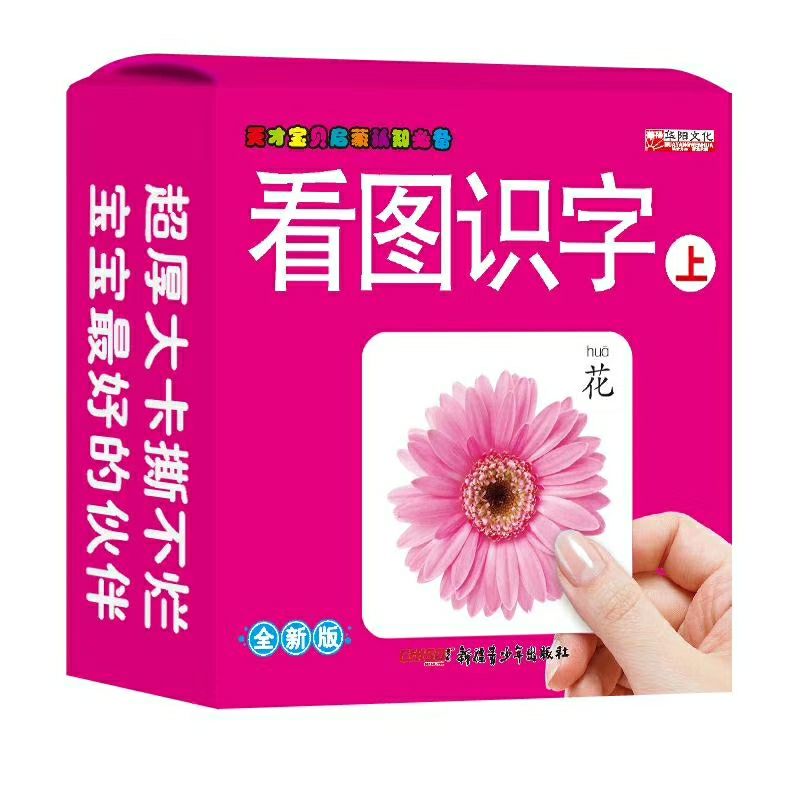 英才宝贝启蒙认知必备 华阳文化 拼音大卡 水果蔬菜 识字卡片细节图