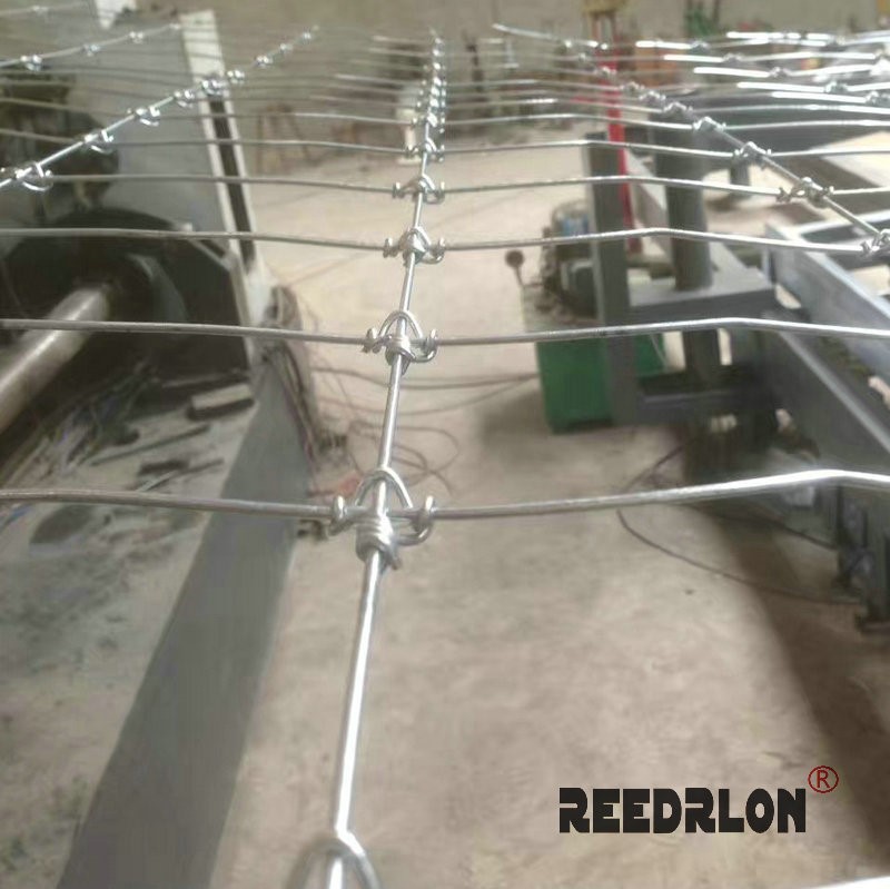 Redlong deer net, deer breeding net, deer breeding fence net, ring buckle anti-deer net details Picture