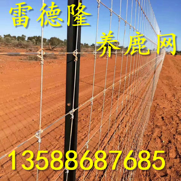 Red Dragon deer net deer fence net ring buckle deer net