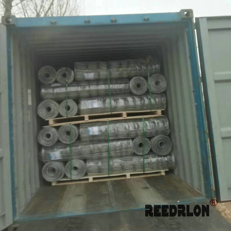 Redlong deer net, deer breeding net, deer breeding fence net, ring buckle anti-deer net Application Scenario