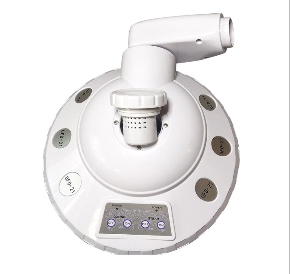 New rocker arm type Chinese herbal mist spray machine single heat spray beauty salon household face steamer