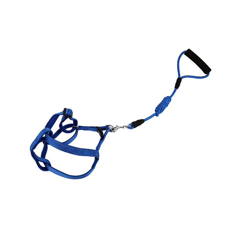 Comfortable diving material, reflective leash, pet round rope, pet set, reflective pet round rope, reflective chest and back Specification image