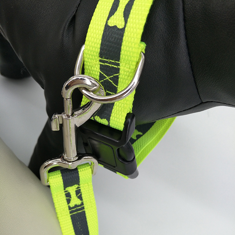 狗狗牵引实物图