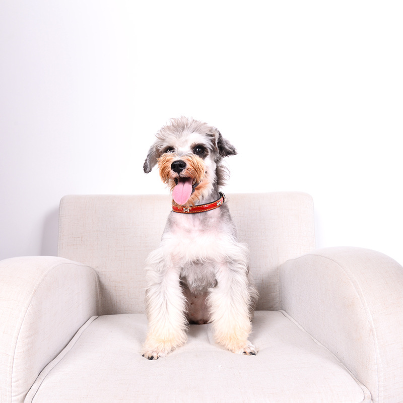 Factory direct sales of PU leather flat pet straps, pet collars, multi-color pet supplies in stock, dog chains wholesale details Picture
