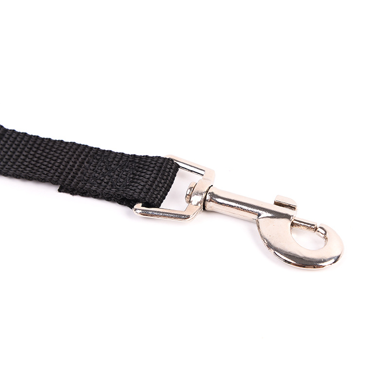 Wholesale of 2017 new style pet leashes, dog running leashes and pet supplies details Picture