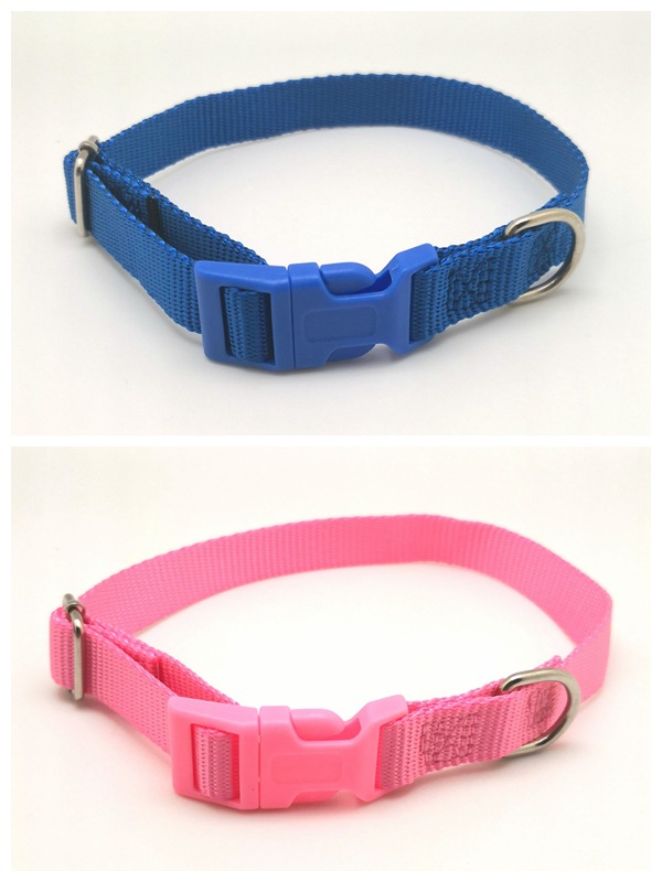 Factory direct sales of pet collars, dog collars, nylon collars, dog leashes, monochrome basic style, plain collars Application Scenario
