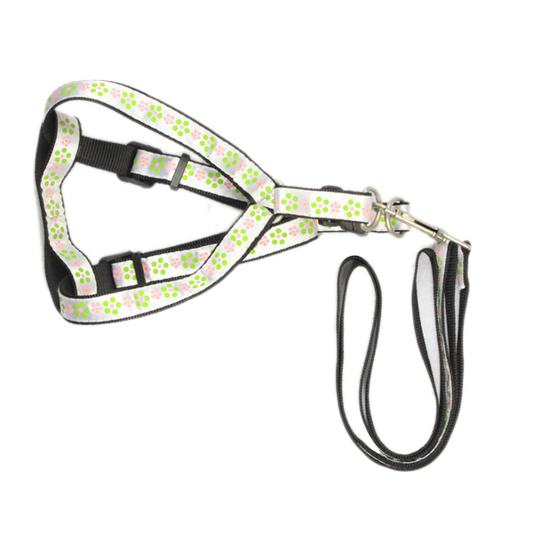 宠物牵引绳胸背带小狗狗贴布牵引带胸背套小型犬狗绳子