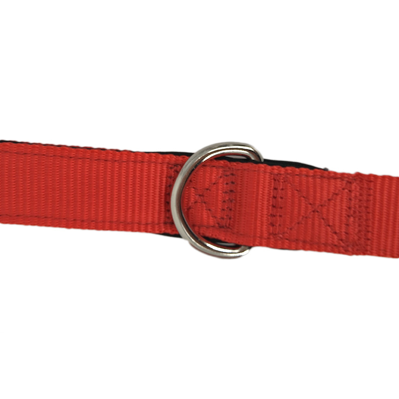 Wholesale of pet supplies, including nylon double handles, dog leashes, dog chains, and dog walking leashes details Picture