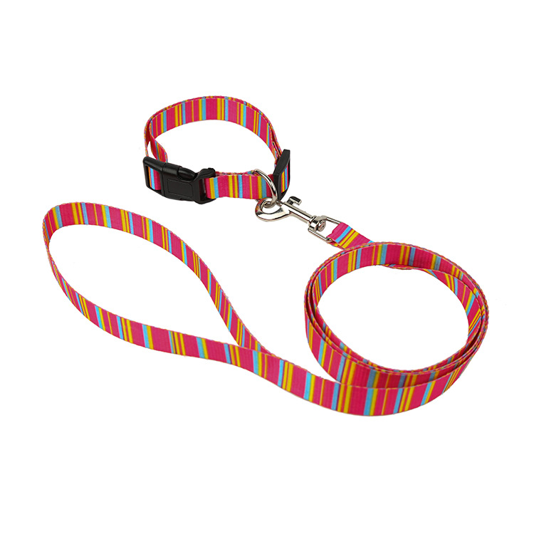 Factory direct sales of pet printed leash and pet collar. Customized according to samples Application Scenario