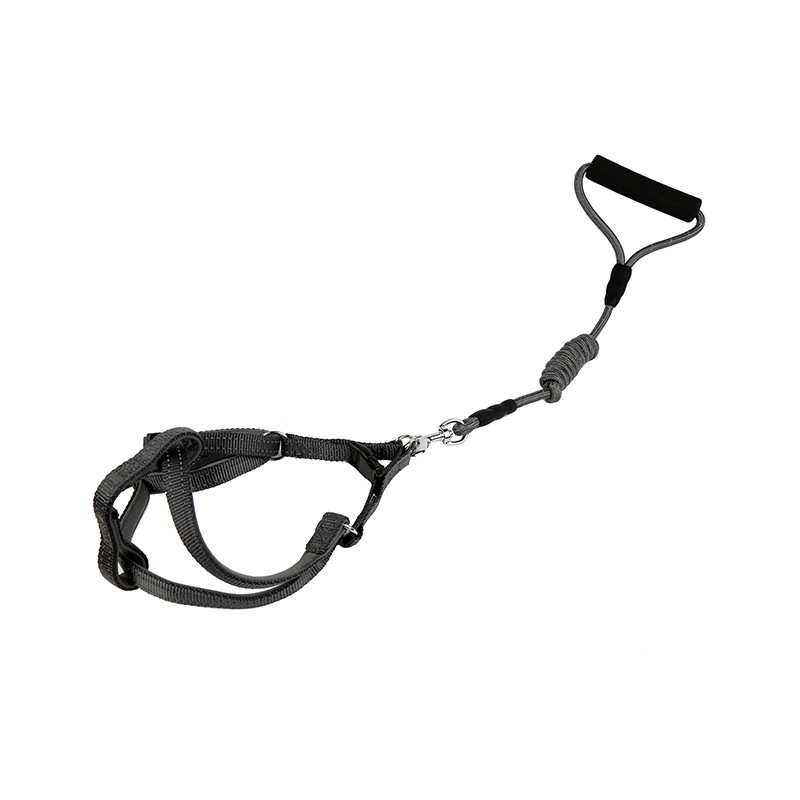 Comfortable diving material, reflective leash, pet round rope, pet set, reflective pet round rope, reflective chest and back details Picture