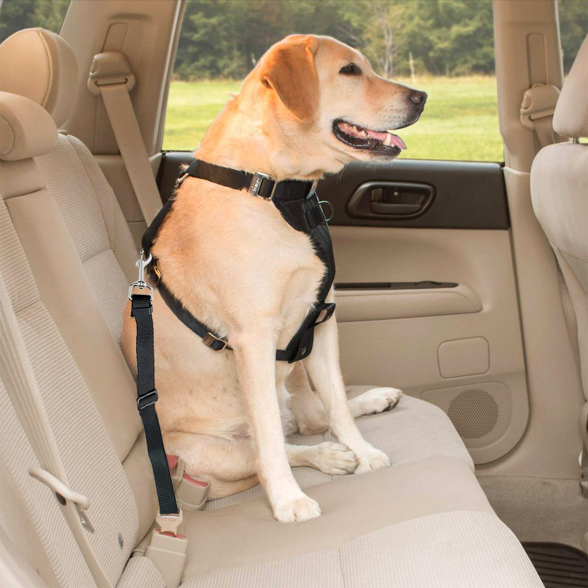 Car pet pads, seat belts, dog car pets, chest and back Specification image