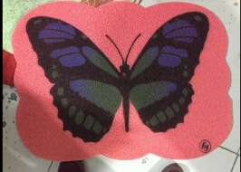 新款家居拉丝印花地毯韩式地垫入门除尘防滑脚垫卡通门垫厂家批发