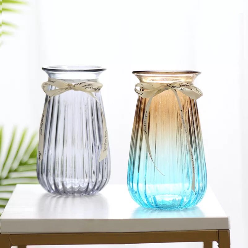 水培植物瓶、生态瓶实物图