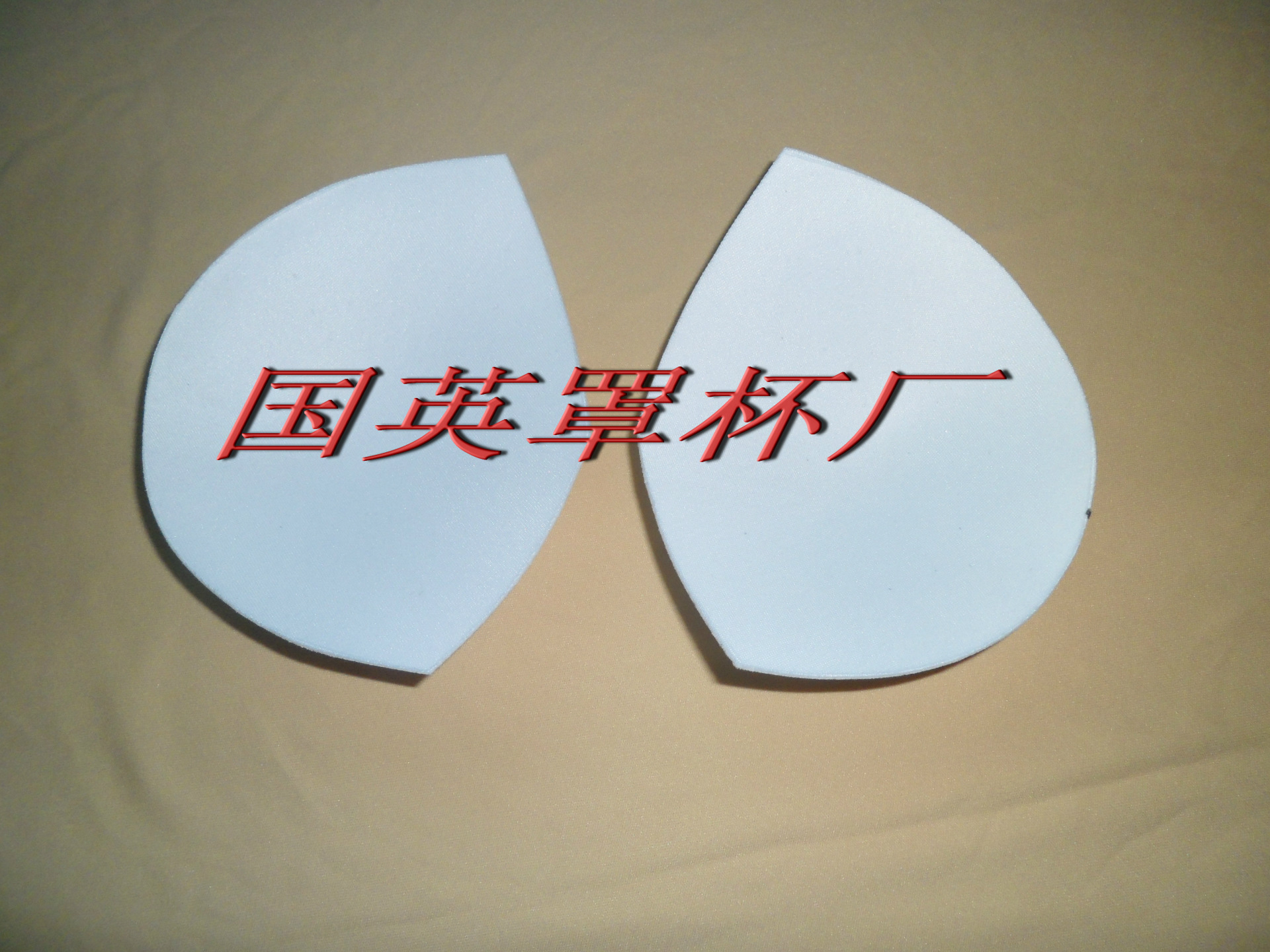 厂家供应文胸罩杯，用于文胸，内衣，泳装系列
