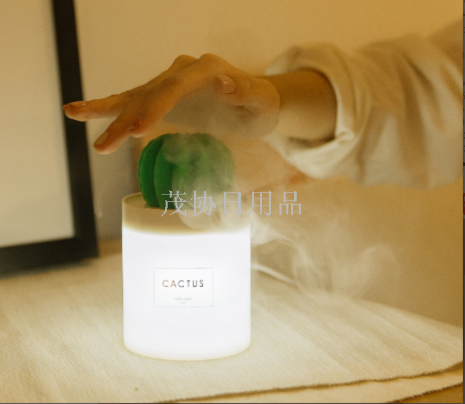 Night light - Prickly pear humidifier