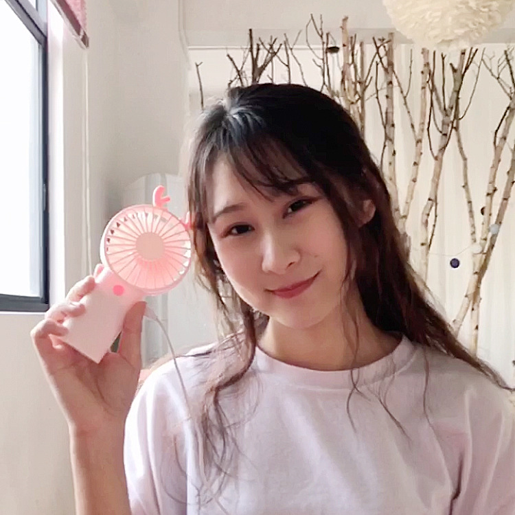 Creative USB charging fan, mini silent handheld dormitory student desktop small electric fan, portable Application Scenario
