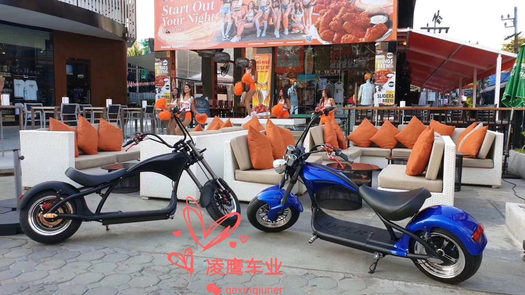 New Harley Electric Car details Picture