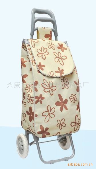 家用购物车实物图