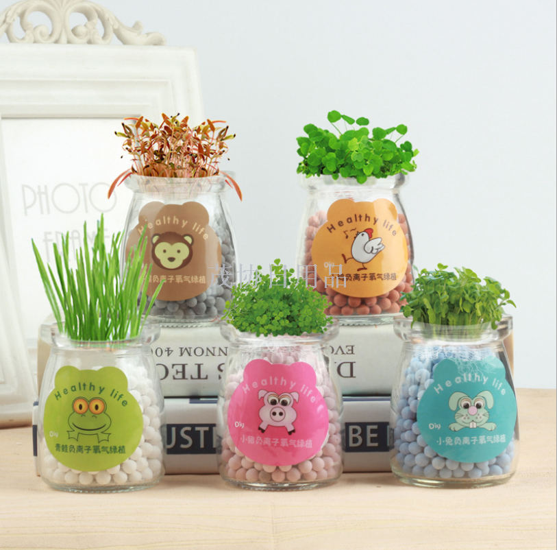 DIY玻璃工艺品摆件 创意儿童学生礼品 家居饰品盆栽 迷你植物花盆