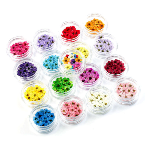 Small plum flower Daffodil dry embossed flower drop glue mobile phone case diy materials Nail jewelry handmade materials