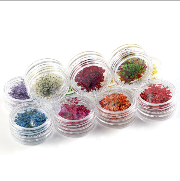 满天星干花压花 雪珠花 蕾丝花 diy滴胶押花材料 手机壳美甲饰品产品图